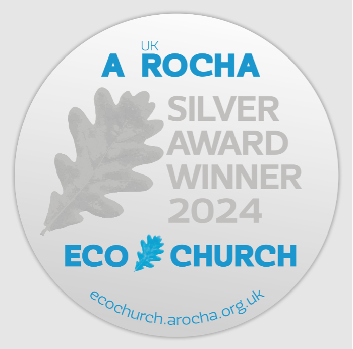 Silver ECO Award Badge